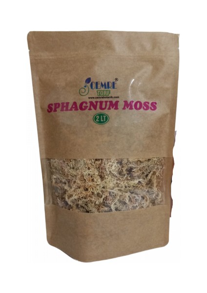 Sphagnum Yosunu