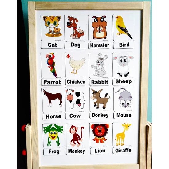 Manyetik İngilizce Kelime Kartları Hayvanlar - Animals