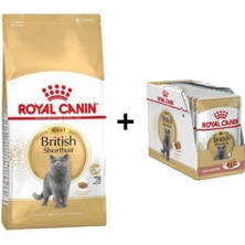 Royal Canin British Shorthair Yetişkin Kedi Maması 4 kg + 12 Adet Yaş Mama