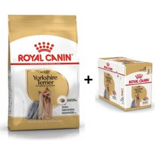 Royal Canin Yorkshire Terrier Köpek Maması 1,5 kg + 12 Adet Yaş Mama