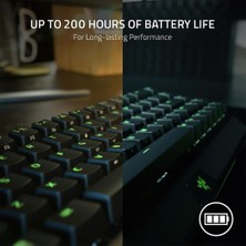 Razer Blackwidow V3 Mini Hyperspeed Yeşil Switch Kablosuz Mekanik Gaming Oyuncu Klavye