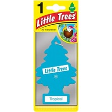 Little Trees Tropical