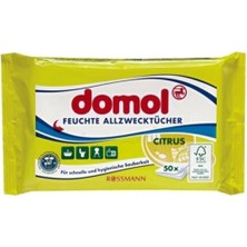 Domol Fırın ve Izgara Temizleyici + Limon Kokulu Temizleme Bezi