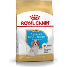 Royal Canin Cavalier King Charles Puppy Köpek Mamasi 1,5 kg