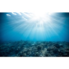 Kanki Pet KP7045016 Akvaryum Arka Fon Yapıştırma