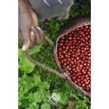 Abu Coffee Filtre Kahve Etiyopya Limu Arabica 250 gram