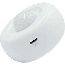 Rxr P-32-Wf Rxr Kablosuz Wi-Fi Pır Hareket Dedektörü