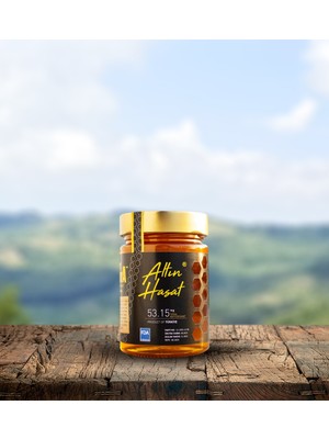 Apimaya Kaz Dağları Altın Hasat 455 gr