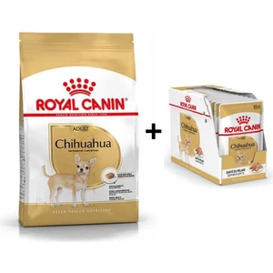 Royal Canin Chihuahua Yetişkin Köpek Maması 1,5 kg + 12 Adet Yaş Mama