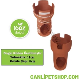 Canlı Petshop Balık Yuvası Küçük No: 19