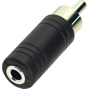 BK Teknoloji Rca Erkek To 3.5mm Dişi Mono Dönüştürücü Adaptör