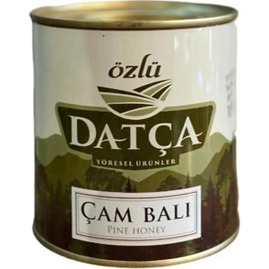 Özlü Datça Datça Çam Balı 950 gr Teneke