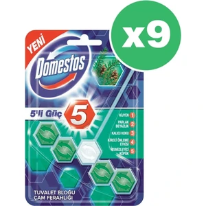 Wc Blok 5'li Güç Çam Ferahlığı 55 gr x 9 Adet