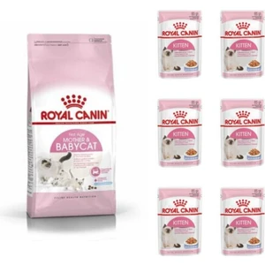 Royal Canin Mother & Babycat (Anne & Yavru Kedi Maması) 2 Kg. + 6 Adet (Kitten) Yaş Mama