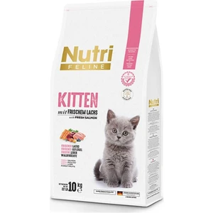 Nutri Feline Kıtten 10 kg