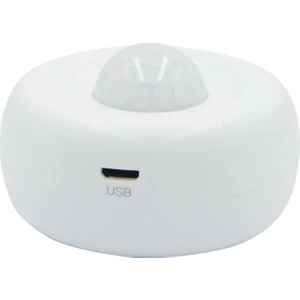 Rxr P-32-Wf Rxr Kablosuz Wi-Fi Pır Hareket Dedektörü