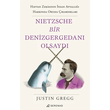 Nietzsche Bir Denizgergedanı Olsaydı -Justin