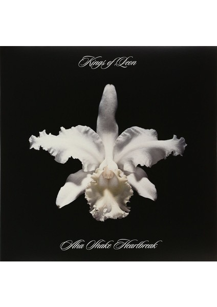 Kings Of Leon Aha Shake Heartbreak - Plak