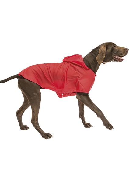 Sailor Red Tg 25 Köpek Yağmurluk