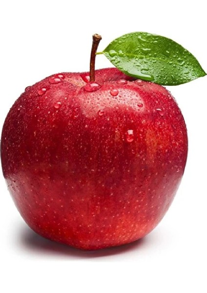 8 Adet Kırmızı Elma Fidanı 3 Yaş