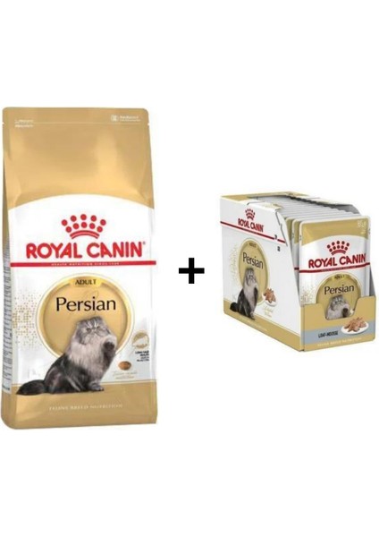Persian Yetişkin Kedi Maması 2 kg + 12 Adet Yaş Mama