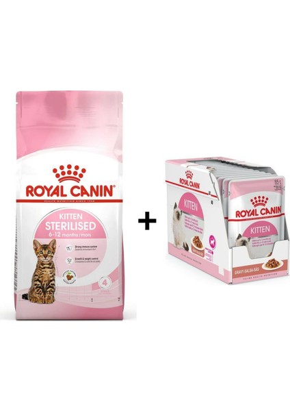 Kitten Sterilised Kısırlaştırılmış Yavru Kedi Maması 2 kg + 12 Adet Yaş Mama