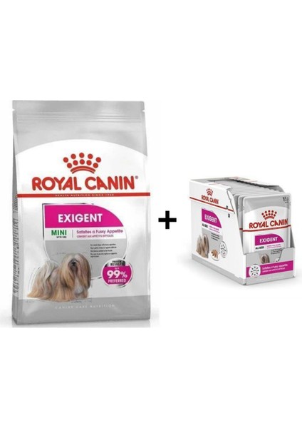 Mini Exigent Köpek Maması 3 kg + 12 Adet Yaş Mama