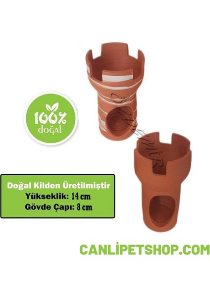Balık Yuvası Küçük No: 19