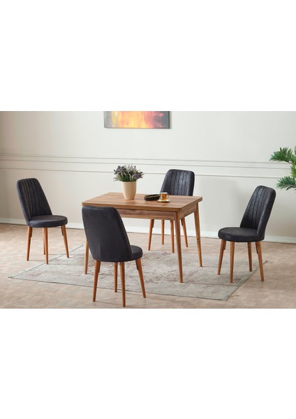 Sahra Sabit 4 Kişilik Mutfak Masası Takımı