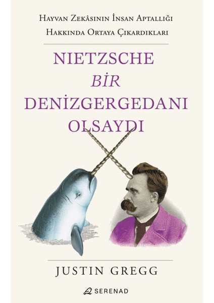 Nietzsche Bir Denizgergedanı Olsaydı -Justin Gregg