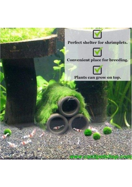 Y-Karides Yuvası ve Üretim Tüpü 3 Lü Seramik Kahverengi 7x6 cm fiyatları