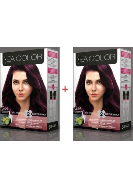 3.66 Patlıcan Moru Set Boya 2 Kutu (Her Kutuda; 2 Tüp Boyası (2X50 Ml) +Oksidasyon 75ML