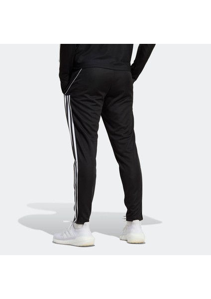 Erkek Futbol Eşofman Altı TIRO23 L Tr Pnt HS7230 fiyatları