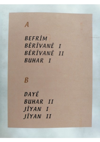 Salar Asid - Avaze Kurdi - 2000 Türkiye Basım Kaset Albüm ( Kürtçe Albüm )