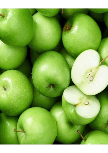 9 Adet Aşılı Bodur Yeşil Elma Fidanı 3 Yaş fiyatları