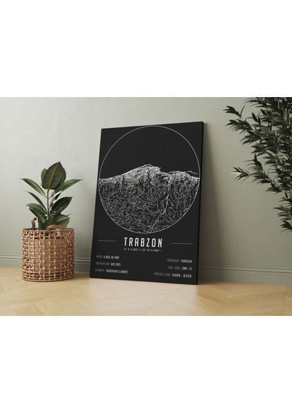 Trabzon 50 x 70 cm Şehir Haritası Kanvas Tablo