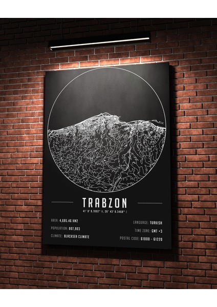 Trabzon 50 x 70 cm Şehir Haritası Kanvas Tablo