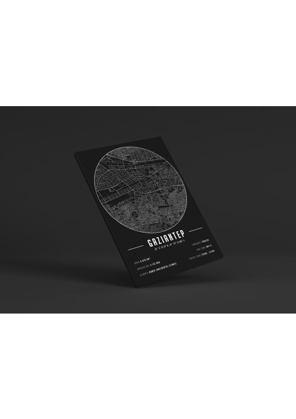 Gaziantep 50 x 70 cm Şehir Haritası Kanvas Tablo fiyatları