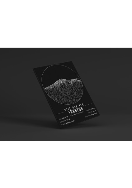 Bize Her Yer Trabzon 50 x 70 cm Şehir Haritası Kanvas Tablo