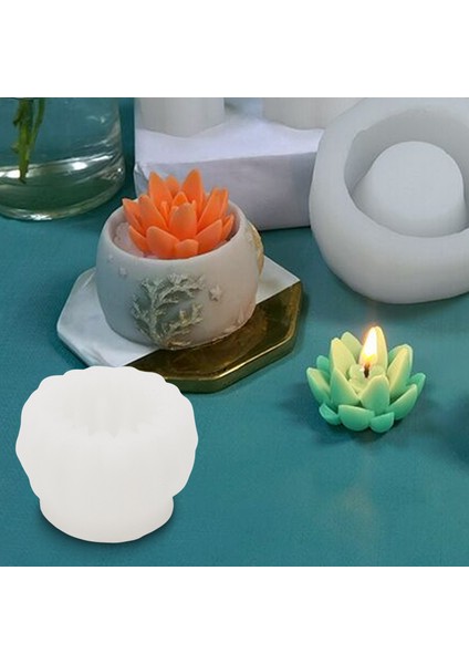 Paket Mum Silikon Kalıplar, Etli Kaktüs Bitkileri El Yapımı Mum Için Reçine Döküm Kalıp, Epoksi Reçine, Polimer Kil, Balmumu (Yurt Dışından) fiyatları
