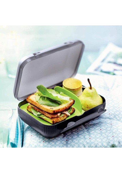 Bölmeli Beslenme Kutusu Siyah Renk