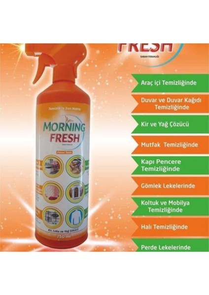 Morning Fresh Hassas Yüzey Temizleyici 750 ml fiyatları