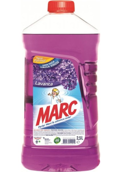 Yüzey Temizleyici Lavanta 2500 ml - 4'lü
