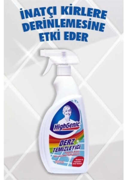 Highgenic Derz Temizleyici 1000ML - 4 Adet