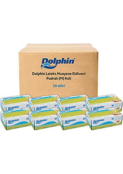 M Pudralı Lateks Eldiven Koli Dolphin_pds_ltks_beyaz_m