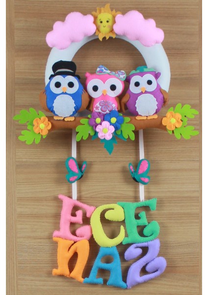 Ece Naz Isimli Baykuş Bebek ve Hastane Odası Kapı Süsü