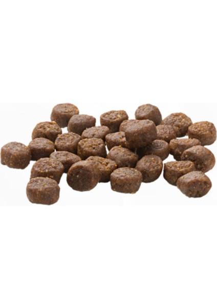 Finest Fit Sterilized Kümes Hayvanlı Kısır Kedi Maması 4 kg fiyatları