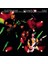 Joe Satriani, Steve Vai, Eric Johnson G3 Live In Concert - CD 1