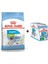 x Small Yavru Köpek Maması 1,5 kg + 12 Adet Yaş Mama 1