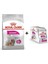 Mini Exigent Köpek Maması 3 kg + 12 Adet Yaş Mama 1